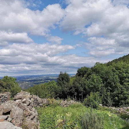 Charmante Maison Dans Les Gorges De La Loire Avec Terrasses Et Poele A Bois - Fr-1-582-319