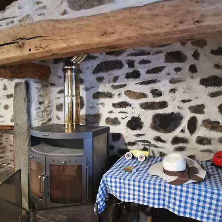 Charmante Maison Dans Les Gorges De La Loire Avec Terrasses Et Poele A Bois - Fr-1-582-319 *
