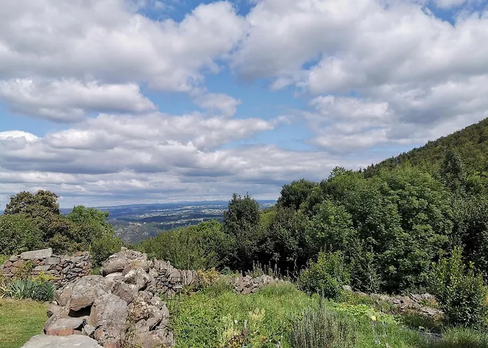 Charmante Maison Dans Les Gorges De La Loire Avec Terrasses Et Poele A Bois - Fr-1-582-319