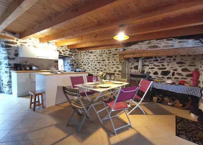 Charmante Maison Dans Les Gorges De La Loire Avec Terrasses Et Poele A Bois - Fr-1-582-319 Σπίτι διακοπών Retournac