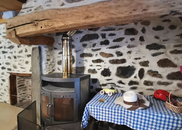 Charmante Maison Dans Les Gorges De La Loire Avec Terrasses Et Poele A Bois - Fr-1-582-319 *
